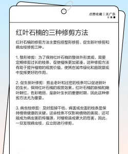 家里阳光不足怎么养花，选对植物种类，掌握养护技巧