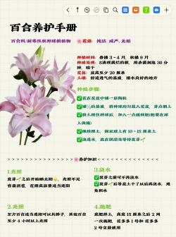 家里阳光不足怎么养花，选对植物种类，掌握养护技巧