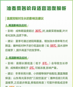 家里阳光不足怎么养花，选对植物种类，掌握养护技巧