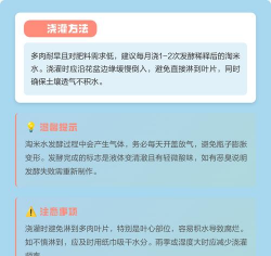 家里阳光不足怎么养花，选对植物种类，掌握养护技巧