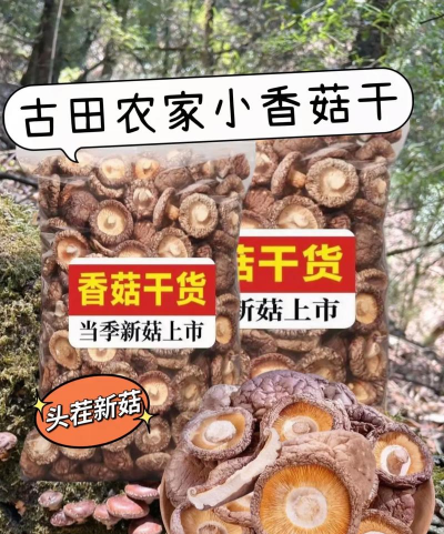 家里阳光不足怎么养花，选对植物种类，掌握养护技巧