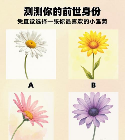 家里阳光不足怎么养花，选对植物种类，掌握养护技巧