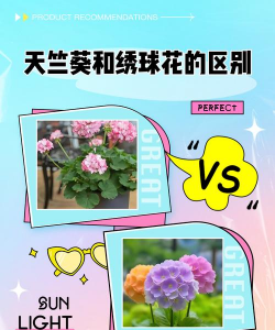 家里阳光不足怎么养花，选对植物种类，掌握养护技巧