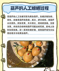 家里阳光不足怎么养花，选对植物种类，掌握养护技巧