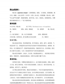 家里阳光不足怎么养花，选对植物种类，掌握养护技巧