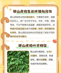 家里阳光不足怎么养花，选对植物种类，掌握养护技巧