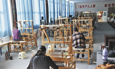 家里阳光不足怎么养花，选对植物种类，掌握养护技巧