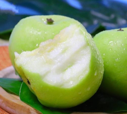 家里阳光不足怎么养花，选对植物种类，掌握养护技巧