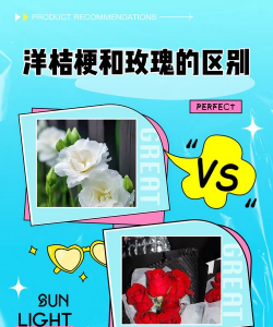 家里阳光不足怎么养花，选对植物种类，掌握养护技巧