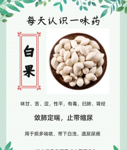 家里阳光不足怎么养花，选对植物种类，掌握养护技巧