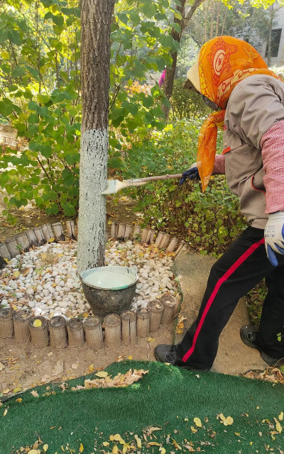 家里阳光不足怎么养花，选对植物种类，掌握养护技巧