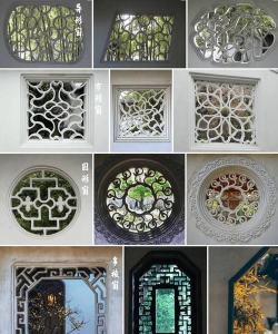 家里阳光不足怎么养花，选对植物种类，掌握养护技巧