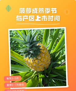 家里阳光不足怎么养花，选对植物种类，掌握养护技巧