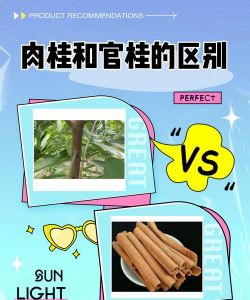家里阳光不足怎么养花，选对植物种类，掌握养护技巧