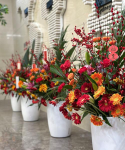 家里阳光不足怎么养花，选对植物种类，掌握养护技巧