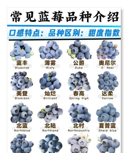 家里阳光不足怎么养花，选对植物种类，掌握养护技巧