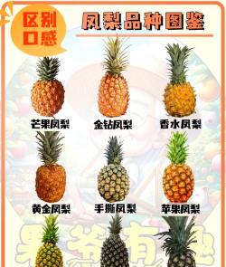 家里阳光不足怎么养花，选对植物种类，掌握养护技巧