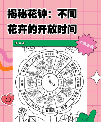 家里阳光不足怎么养花，选对植物种类，掌握养护技巧