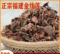 家里阳光不足怎么养花，选对植物种类，掌握养护技巧