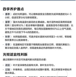 家里阳光不足怎么养花，选对植物种类，掌握养护技巧