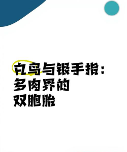 家里阳光不足怎么养花，选对植物种类，掌握养护技巧