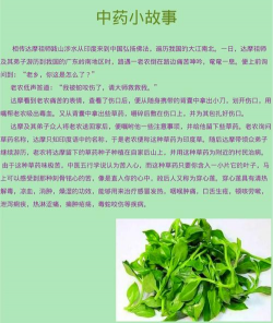 家里阳光不足怎么养花，选对植物种类，掌握养护技巧