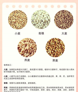 家里阳光不足怎么养花，选对植物种类，掌握养护技巧