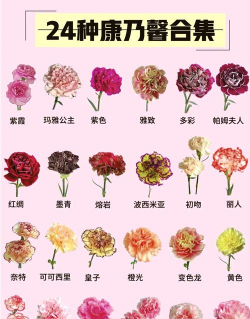 家里阳光不足怎么养花，选对植物种类，掌握养护技巧