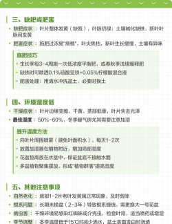 家里阳光不足怎么养花，选对植物种类，掌握养护技巧