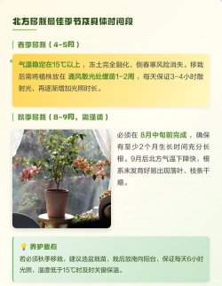 家里阳光不足怎么养花，选对植物种类，掌握养护技巧