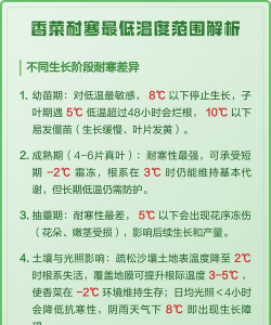 家里阳光不足怎么养花，选对植物种类，掌握养护技巧