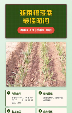 家里阳光不足怎么养花，选对植物种类，掌握养护技巧