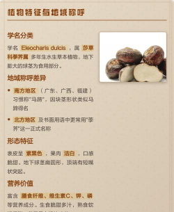 家里阳光不足怎么养花，选对植物种类，掌握养护技巧