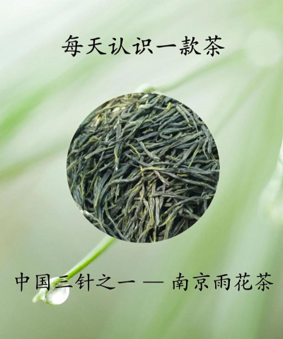 家里阳光不足怎么养花，选对植物种类，掌握养护技巧