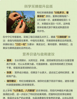 家里阳光不足怎么养花，选对植物种类，掌握养护技巧