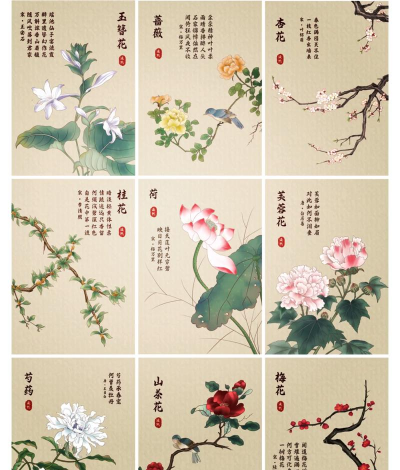 家里阳光不足怎么养花，选对植物种类，掌握养护技巧