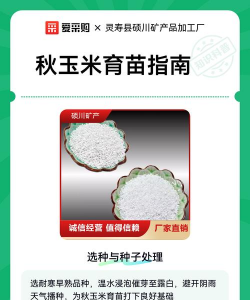 家里阳光不足怎么养花，选对植物种类，掌握养护技巧