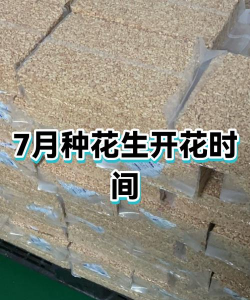 家里阳光不足怎么养花，选对植物种类，掌握养护技巧