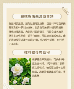家里阳光不足怎么养花，选对植物种类，掌握养护技巧