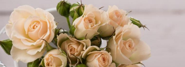 小众送妈妈的花有哪些花