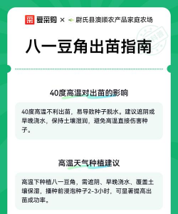 家里阳光不足怎么养花，选对植物种类，掌握养护技巧