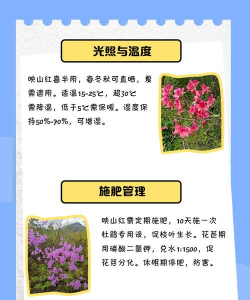 家里阳光不足怎么养花，选对植物种类，掌握养护技巧