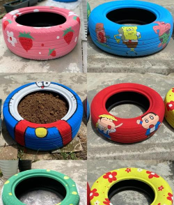 家里阳光不足怎么养花，选对植物种类，掌握养护技巧