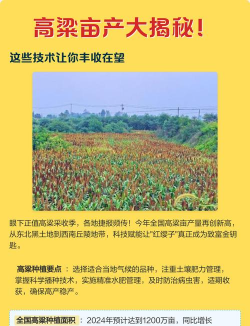 家里阳光不足怎么养花，选对植物种类，掌握养护技巧