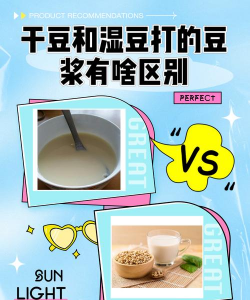 家里阳光不足怎么养花，选对植物种类，掌握养护技巧