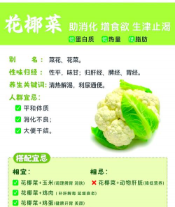 家里阳光不足怎么养花，选对植物种类，掌握养护技巧