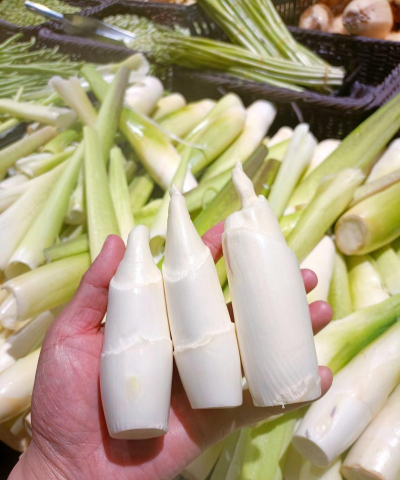 家里阳光不足怎么养花，选对植物种类，掌握养护技巧