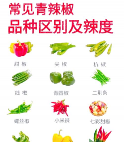 家里阳光不足怎么养花，选对植物种类，掌握养护技巧