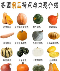 家里阳光不足怎么养花，选对植物种类，掌握养护技巧