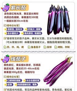 家里阳光不足怎么养花，选对植物种类，掌握养护技巧